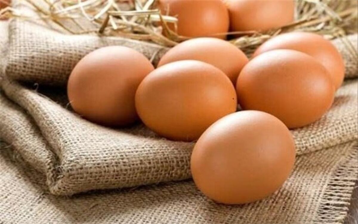 دانستنی های تخم مرغی در روز جهانی تخم مرغ