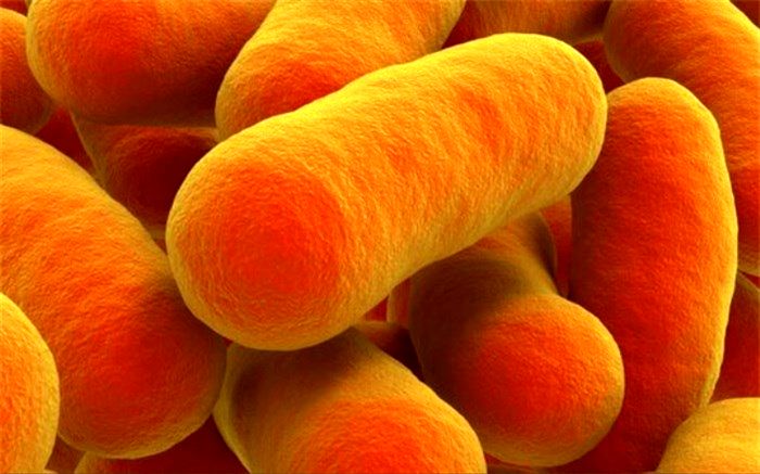 باکتری‌های مرده‌ای که به سلامت انسان کمک می‌کنند