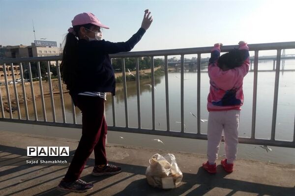 چهارشنبه ها با کارون  و کاکایی