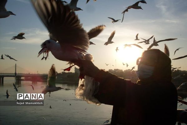 چهارشنبه ها با کارون  و کاکایی