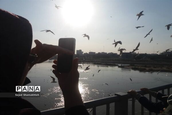 چهارشنبه ها با کارون  و کاکایی