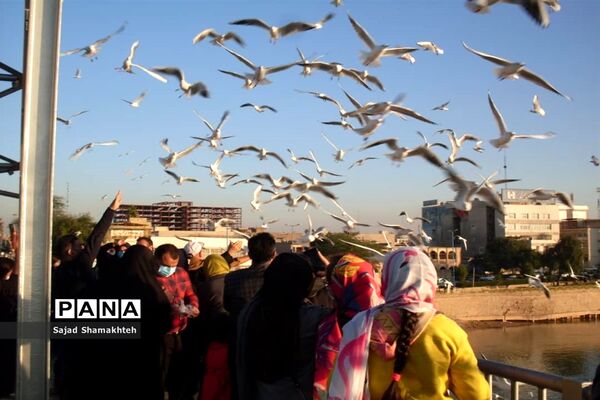چهارشنبه ها با کارون  و کاکایی