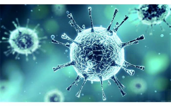 ۶۲ بیمار جدید مبتلا به کرونا در بیمارستان های گیلان بستری شدند