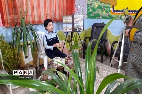 نمایشگاه وجشنواره مجازی محیط زیستی کاشمر