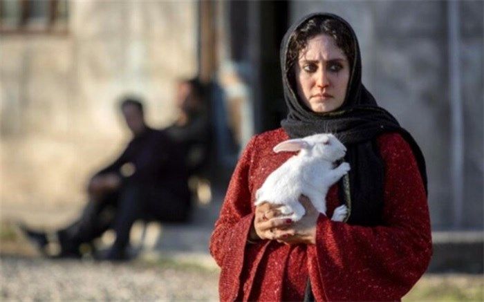 «تی تی» با بازی هوتن شکیبا و الناز شاکردوست به جشنواره آمد