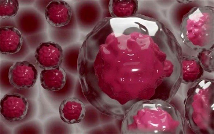 نحوه حمله و بهبودی سلول‌های ایمنی چگونه است؟