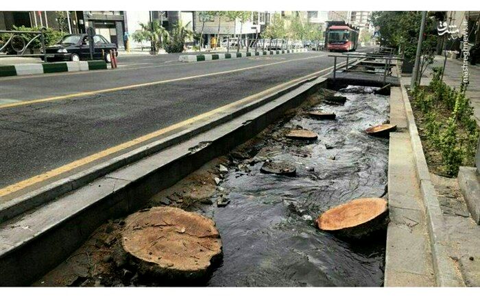 ساماندهی خیابان ولیعصر(عج) پایتخت تا خرداد ۱۴۰۰ برای ثبت جهانی
