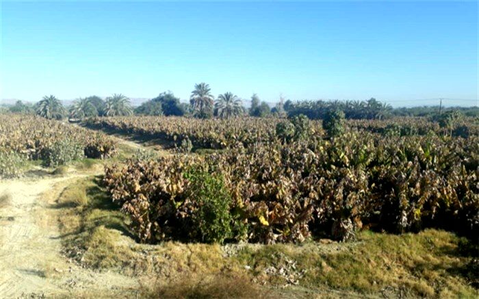 آسمان 50 شهر و 9 هزار  روستای سیستان و بلوچستان از ابتدای زمستان بی باراند