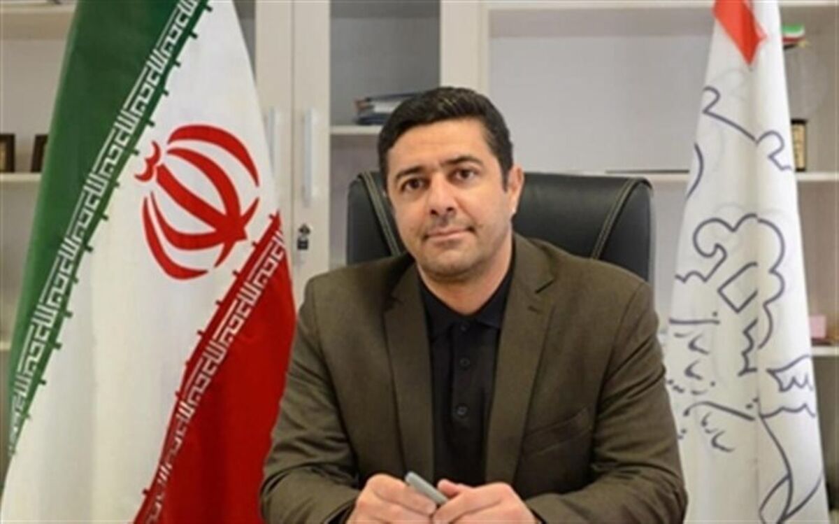 استقبال از دهه فجر 99 با بیش از 50 المان مناسبتی