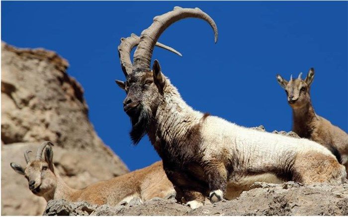 "طبیعت ۳۶۰ درجه" برنامه ای برای عاشقان طبیعت