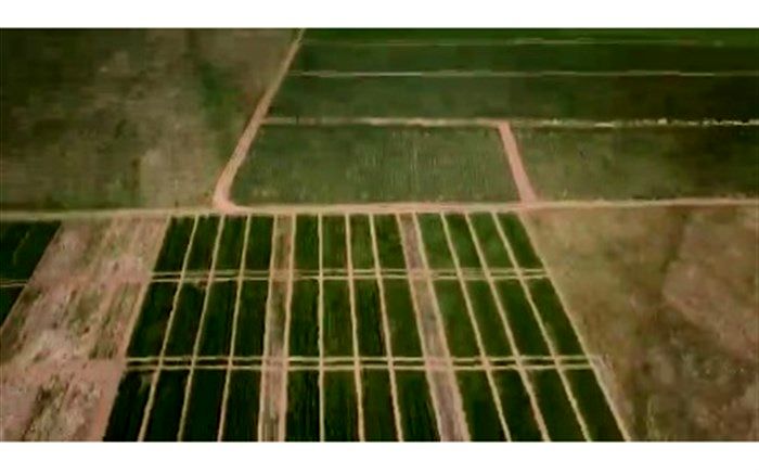 ایستگاه آغجه کهل مراغه مرکز ثقل تولید گندم است