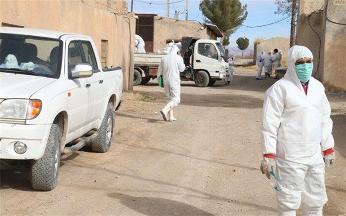 آنفلوانزای فوق حاد در 9 استان کشور مهار شد