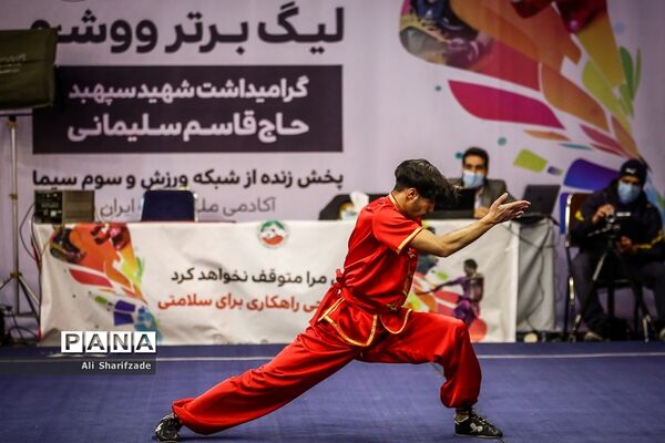لیگ برتر ووشو