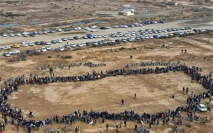 جنگ سگ‌ها در گلوگاه اعتراض حامیان حیوانات را برانگیخت