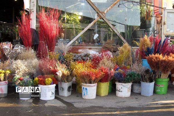 گشتی در بازار گل و گیاه امام رضا