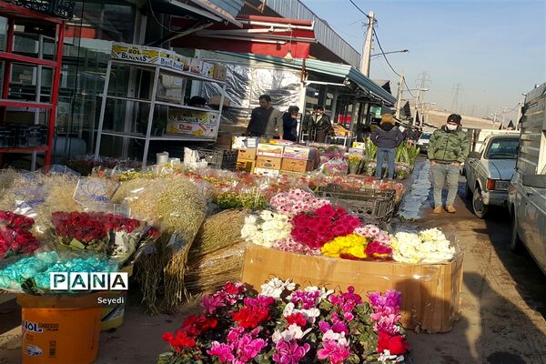 گشتی در بازار گل و گیاه امام رضا