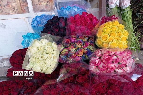 گشتی در بازار گل و گیاه امام رضا