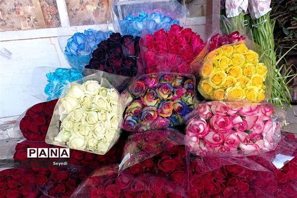 گشتی در بازار گل و گیاه امام رضا