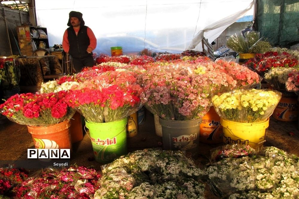 گشتی در بازار گل و گیاه امام رضا