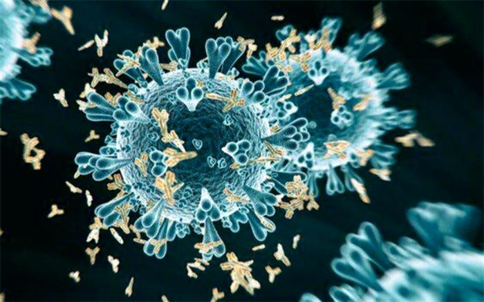 کرونا چه سهمی در نگرانی‌های مردم جهان دارد؟+اینفوگرافیک