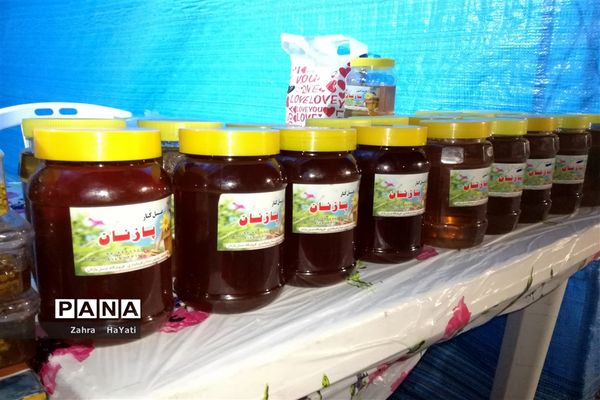 افتتاحیه نمایشگاه فجر در شهرستان امیدیه