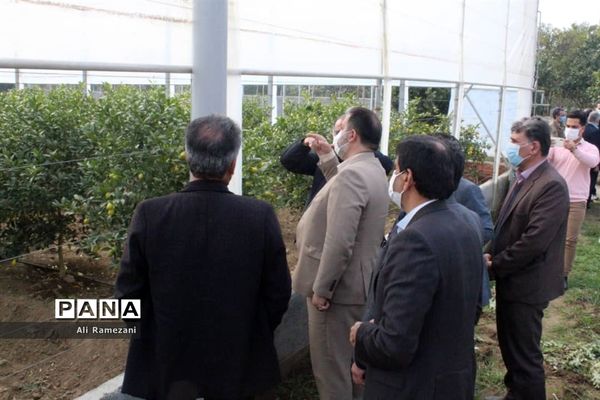 افتتاح چند پروژه‌ جهادکشاورزی در قائم‌شهر