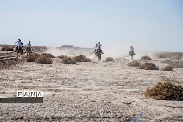 برگزاری مسابقات شترسواری و اسب‌روانی در کوه خواجه