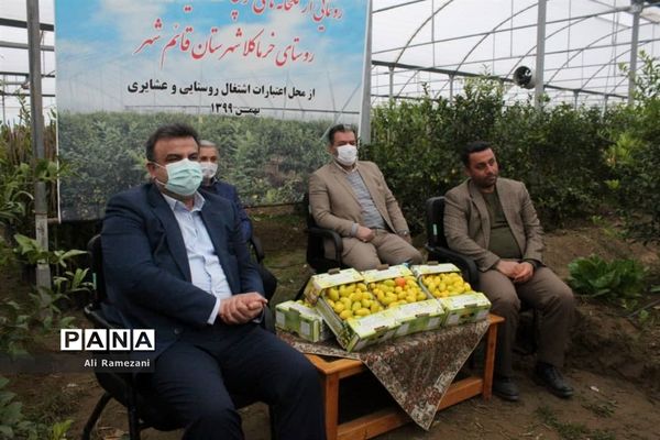 افتتاح ۳۱ گلخانه روستای خرماکلای در قائم‌شهر