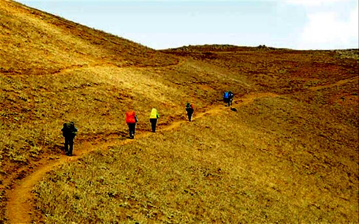 معمای طبیعت‌گردی