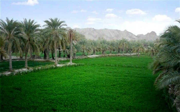 قصرقند گرمترین شهر کشور در شبانه روز گذشته