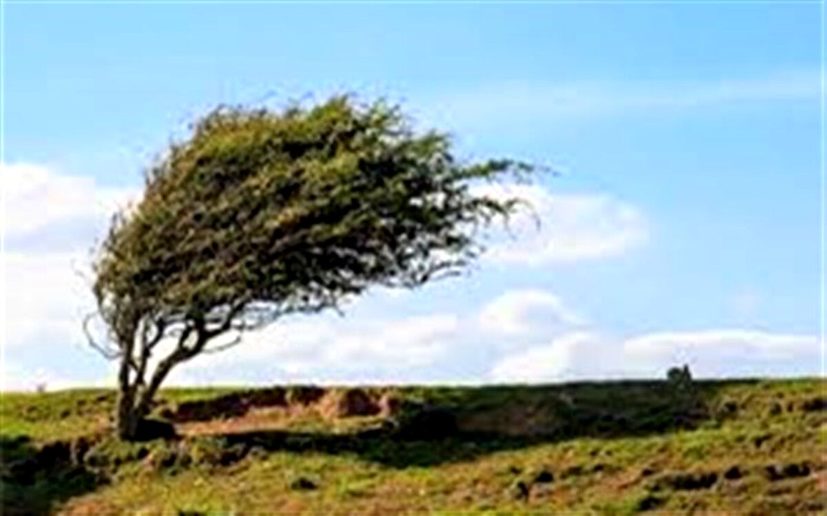 وزش باد گرم،  گاهی شدید در برخی مناطق استان  از فردا آغاز می شود