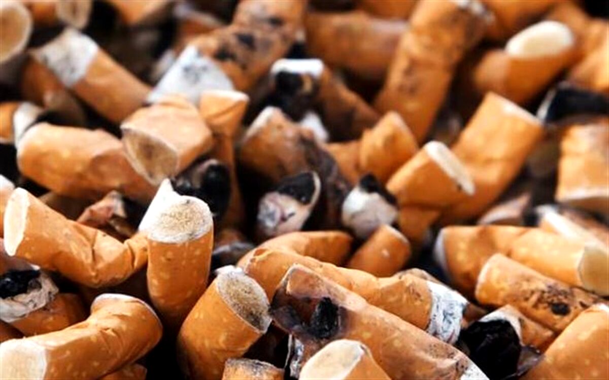 برگزاری وبینار آموزشی با هدف آگاهی از مضرات سیگار