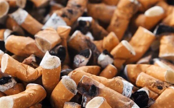 برگزاری وبینار آموزشی با هدف آگاهی از مضرات سیگار