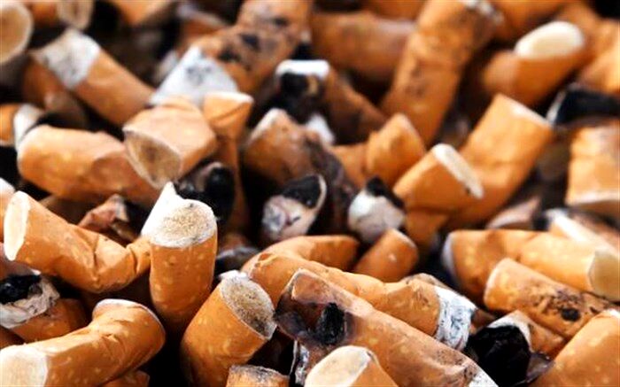 برگزاری وبینار آموزشی با هدف آگاهی از مضرات سیگار