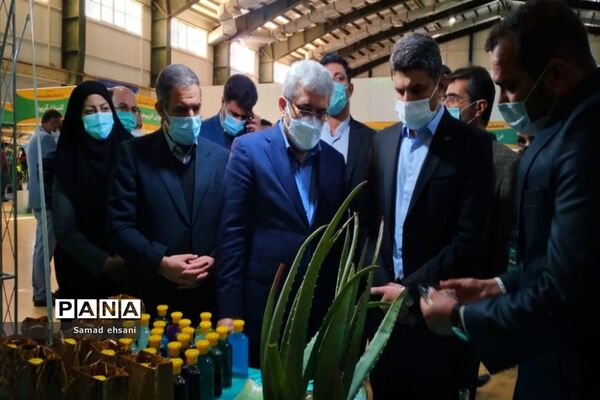 سفر یک روزه معاون علمی و  فناوری رئیس جمهوری به استان کهگیلویه و بویراحمد