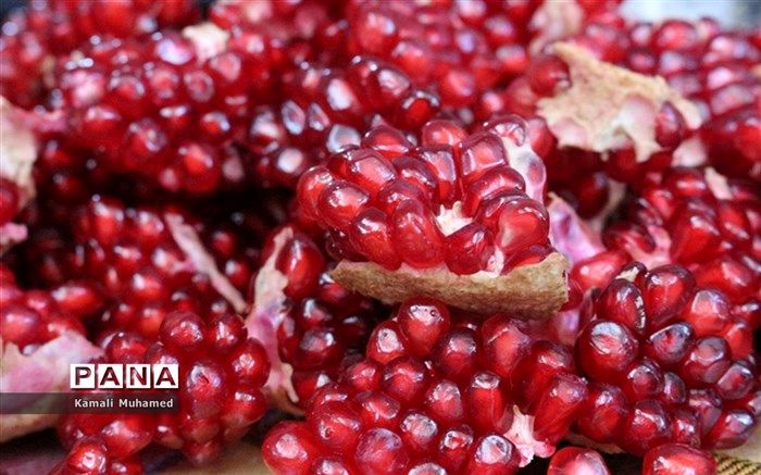 ۳۷ میراث‌فرهنگی ناملموس در فهرست آثار ملی ثبت شد