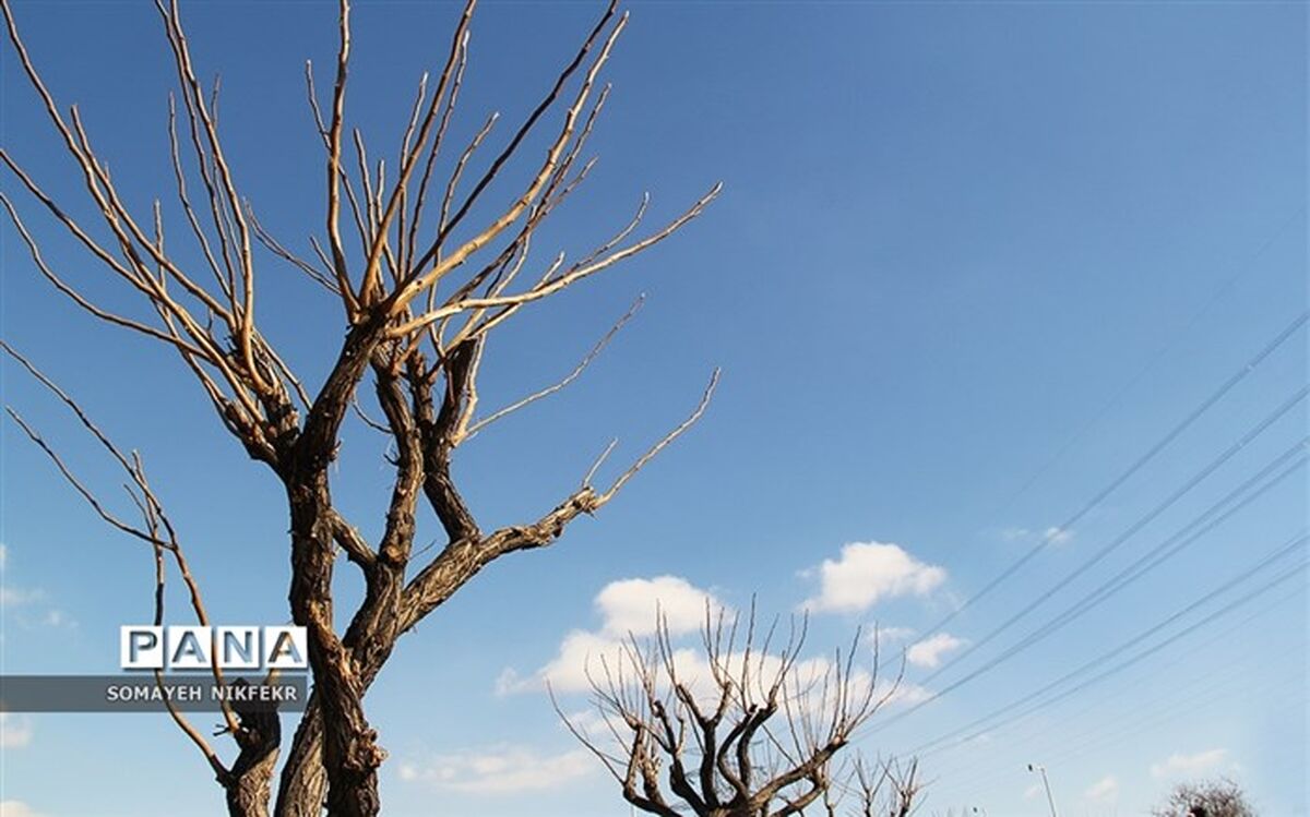 تنفس هوای پاک در تهران