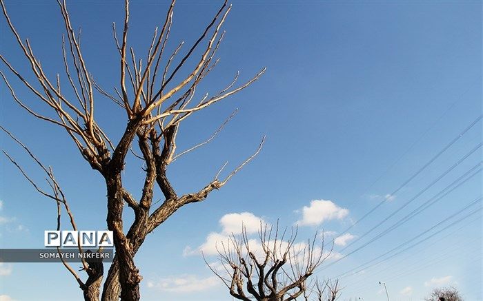 هوای ‌پایتخت  پاک است