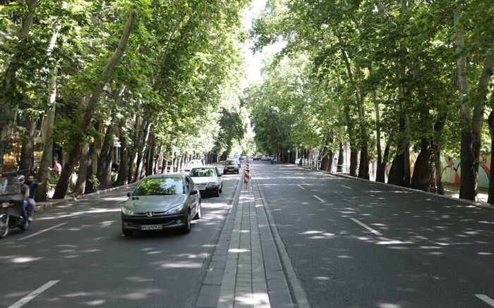 برگزاری کارگاه ملاقات با خیابان ولیعصر