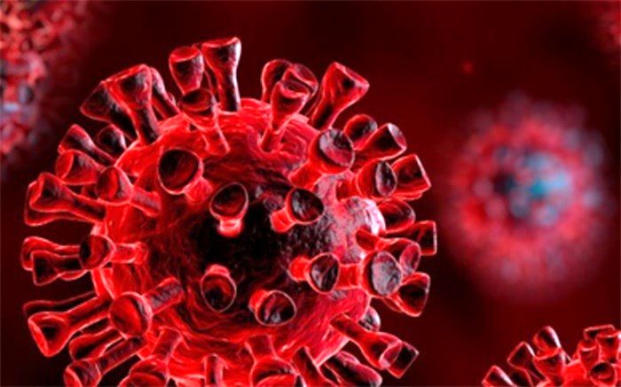 روز بدون فوتی کرونا در اردبیل