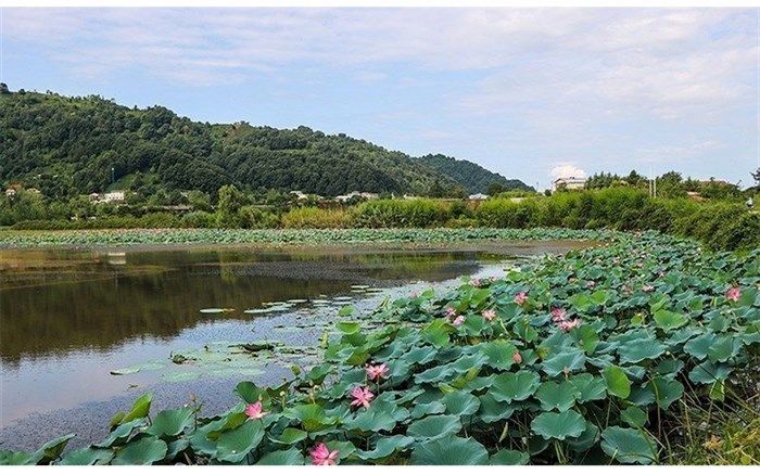 میراث طبیعی گیلان در فهرست ملی افزایش یافت