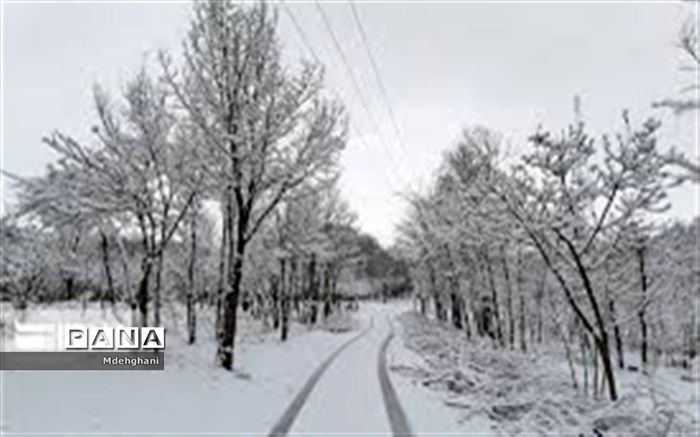 بارش اولین برف زمستانی در نایین+ فیلم