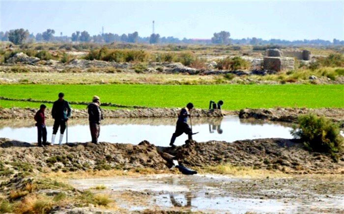 بیش از ۵۶ میلیون مترمکعب آب تحویل کشاورزان سیستانی شد
