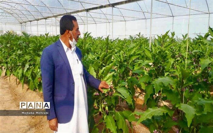 صادرات ۷.۸ میلیون تن محصولات کشاورزی از ابتدای سال