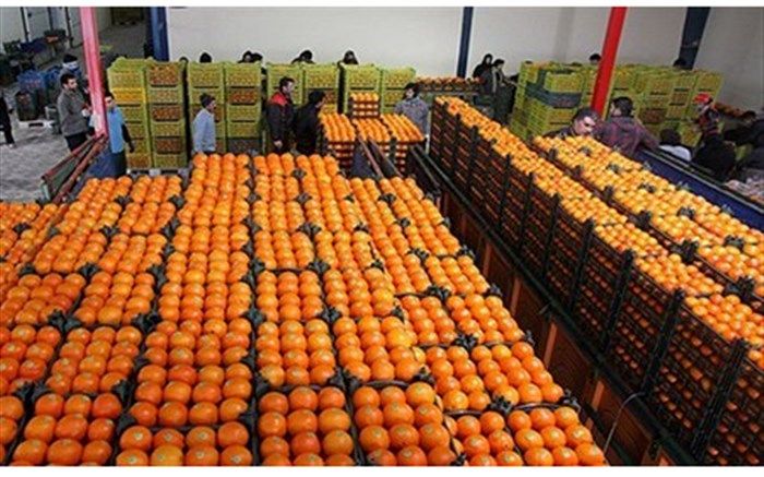 اختصاص یارانه سوخت برای هواپیماهای باری حامل محصولات کشاورزی