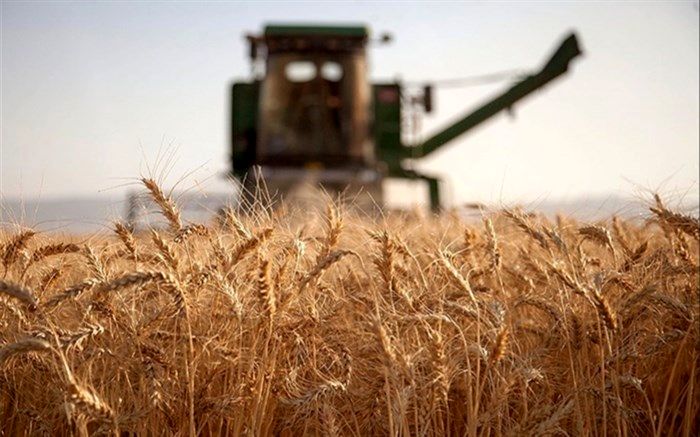 دستورالعمل خرید تضمینی گندم ابلاغ شد