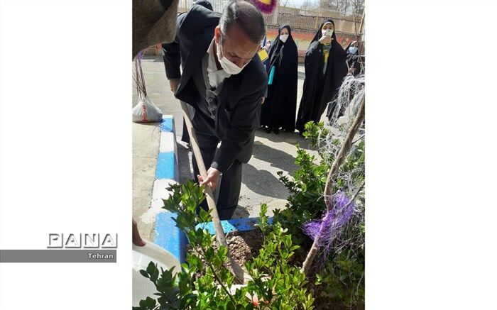 دو نهال به مناسبت هفته درختکاری در دبستان شهید مفتح کاشته شد