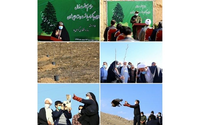 ضرورت توجه بیشتر به عمومیت بخشیدن حفظ محیط زیست