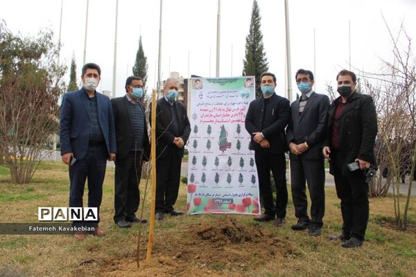 کاشت نهال به یاد زنان شهید، جانباز و آزاده مازندران