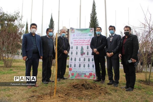کاشت نهال به یاد زنان شهید، جانباز و آزاده مازندران